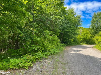 LOT 6 KRIBS Rd, Magnetawan - Ahmic Harbour image-0-4