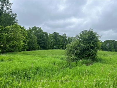 Lot 2 Grants Settelement Rd, Cobden - Whitewater Region