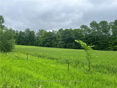 lot 1&2 Grants Settlement Rd, Cobden - Whitewater Region image-0-1