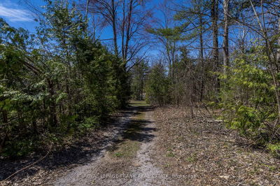 183 Adam & Eve Rd, Trent Lakes - Trent Lakes image-0-4