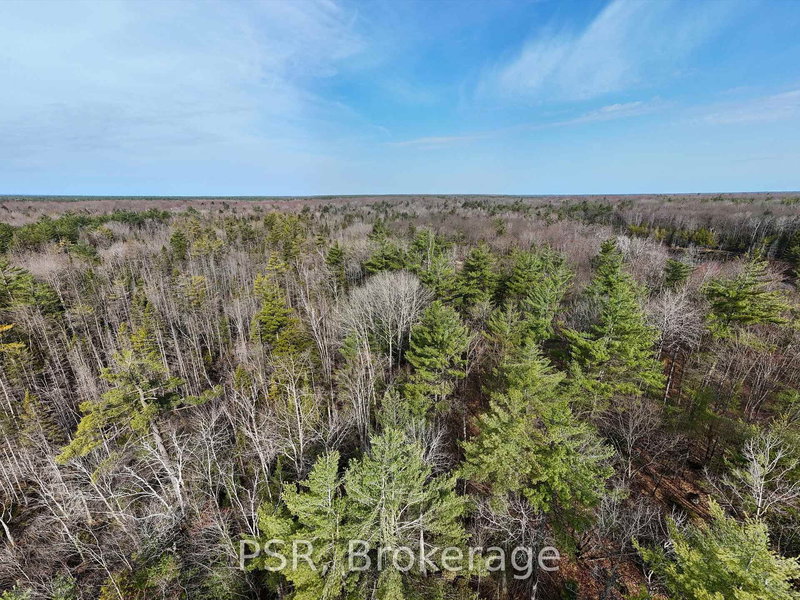 3410 Southwood Rd, Gravenhurst, P0E 1G0 | Image 3