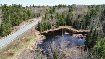  Bobcaygeon Rd, Minden Hills - Hindon image-0-1