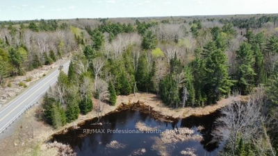  Bobcaygeon Rd, Minden Hills - Hindon image-0-2