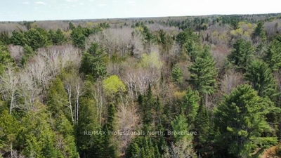  Bobcaygeon Rd, Minden Hills - Hindon image-0-3