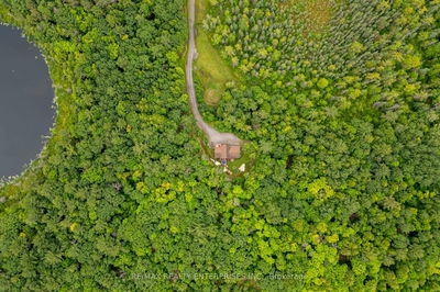 3142 Hwy 118 Rd, Muskoka Lakes - Medora image-0-3