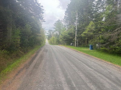1995 Bear Cave Rd, Muskoka Lakes - Cardwell image-0-2