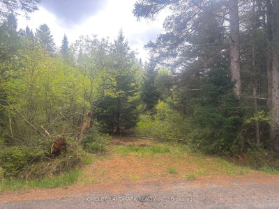 1995 Bear Cave Rd, Muskoka Lakes - Cardwell image-0-3