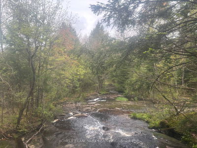 1995 Bear Cave Rd, Muskoka Lakes - Cardwell image-0-4