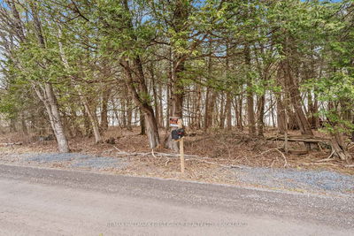  Park Rd, Stone Mills - Stone Mills image-0-3