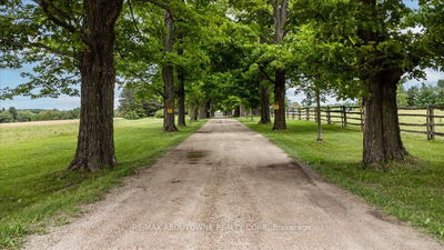 674217 Hurontario St, Mono - Rural Mono image-0-1