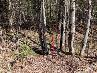  BOUNDARY Rd, Parry Sound Remote Area - Lount image-0-2