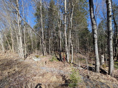  BOUNDARY Rd, Parry Sound Remote Area - Lount image-0-3