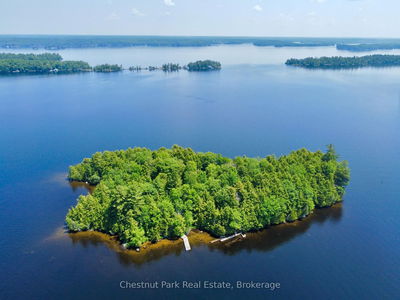 1 Cedar Island, Muskoka Lakes - Wood (Muskoka Lakes)