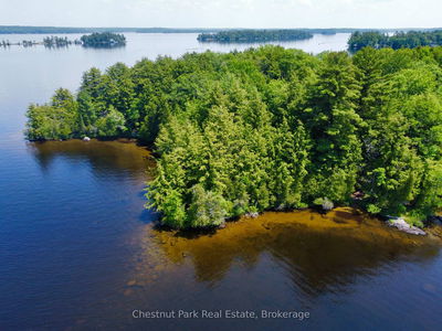 1 Cedar Island, Muskoka Lakes - Wood (Muskoka Lakes) image-0-1