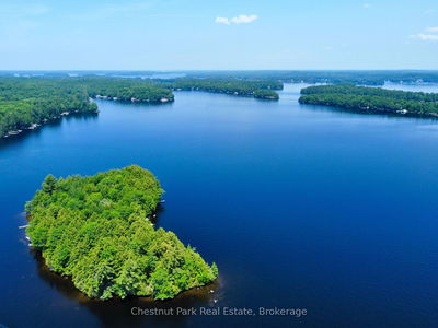 1 Cedar Island, Muskoka Lakes - Wood (Muskoka Lakes) image-0-3