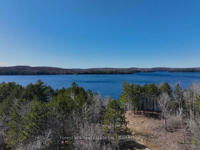 4185 Kawagama Lake Rd, Algonquin Highlands - Sherborne