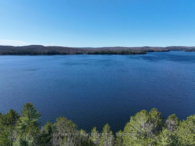 4185 Kawagama Lake Rd, Algonquin Highlands - Sherborne image-0-2