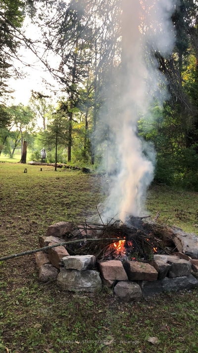 161 McFadden Rd, North Kawartha - North Kawartha image-0-3
