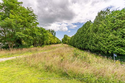 11916 Springfield Rd, Malahide - Springfield