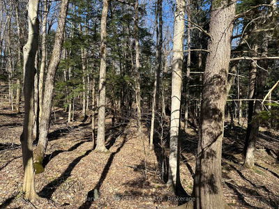 CON 1 PT LOT 12 Barlochan Rd, Muskoka Lakes - Wood (Muskoka Lakes)