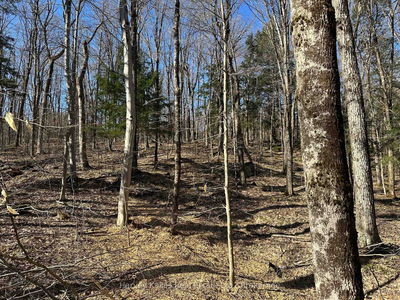 CON 1 PT LOT 12 Barlochan Rd, Muskoka Lakes - Wood (Muskoka Lakes) image-0-1