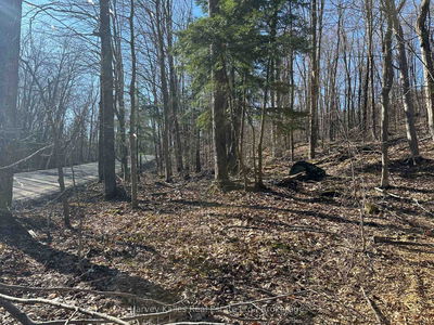 CON 1 PT LOT 12 Barlochan Rd, Muskoka Lakes - Wood (Muskoka Lakes) image-0-2