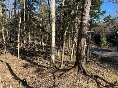 CON 1 PT LOT 12 Barlochan Rd, Muskoka Lakes - Wood (Muskoka Lakes) image-0-3