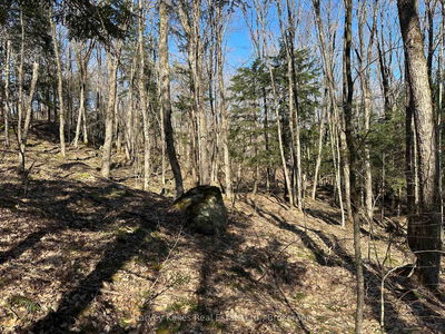 CON 1 PT LOT 12 Barlochan Rd, Muskoka Lakes - Wood (Muskoka Lakes) image-0-4
