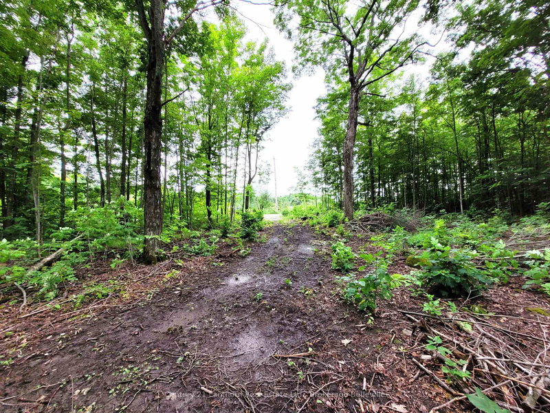 0 Spry Rd, Stirling, K0K 3E0 | Image 3