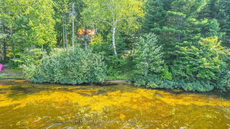 1257 PAINT LAKE Rd, Lake of Bays, P0A 1E0 | Image 2