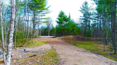 11547 Hwy 511 Lanark Rd Rd, Greater Madawaska - Greater Madawaska image-0-2