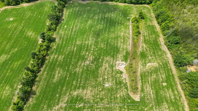  Shannonville Rd, Corbyville - Tyendinaga Township image-0-1
