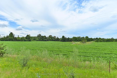  Shannonville Rd, Corbyville - Tyendinaga Township image-0-4