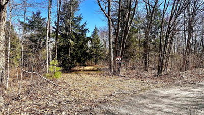 3 Greenwood Camp Rd, Seguin - Seguin image-0-1