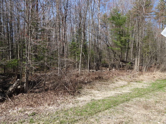 0001 Galetta Side Road