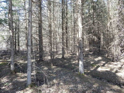 00 Raymond Rd, South Stormont - South Stormont (Osnabruck) Twp image-0-3