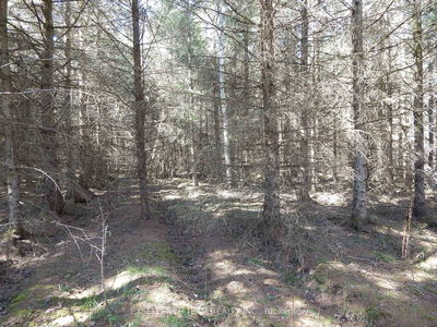 00 Raymond Rd, South Stormont - South Stormont (Osnabruck) Twp image-0-4