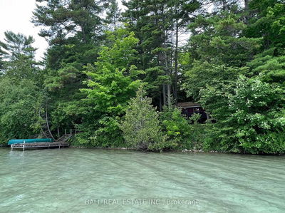 8 Fire Route 48A, Trent Lakes - Trent Lakes