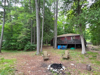 8 Fire Route 48A, Trent Lakes - Trent Lakes image-0-2