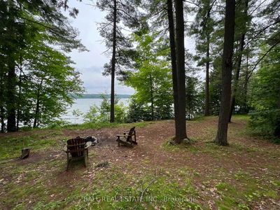 8 Fire Route 48A, Trent Lakes - Trent Lakes image-0-3
