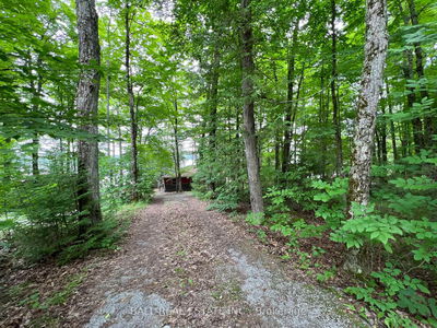 8 Fire Route 48A, Trent Lakes - Trent Lakes image-0-4