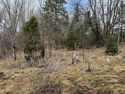 790 Mcdonald Mine Rd, Bancroft - Monteagle Ward image-0-4