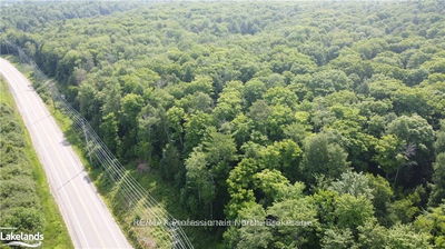 3944 County Road 21 Highway, Minden Hills -  image-0-2