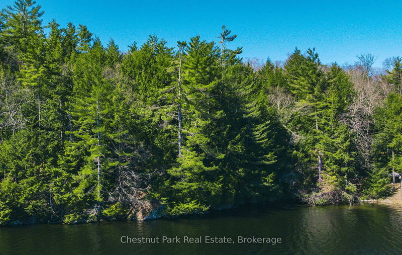  Chisholm Tr, Muskoka Lakes - Medora image-0-0