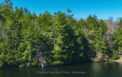  Chisholm Tr, Muskoka Lakes - Medora