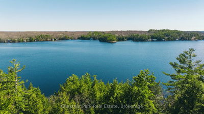  Chisholm Tr, Muskoka Lakes - Medora image-0-3