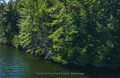  Chisholm Tr, Muskoka Lakes - Medora image-0-4