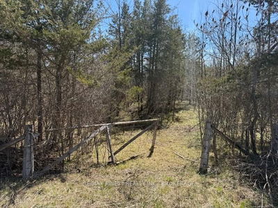 590 LOVE Rd, Bissett Creek - Odessa