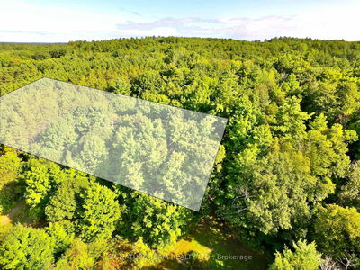  Elgin St, Eganville - Eganville/Bonnechere Twp image-0-1