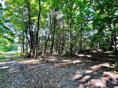  Elgin St, Eganville - Eganville/Bonnechere Twp image-0-2